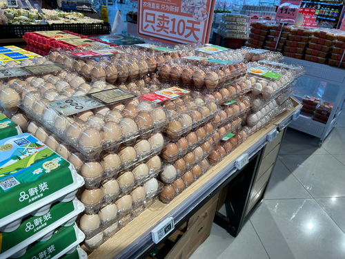 雞肉 雞蛋齊漲價(jià) 養(yǎng)雞企業(yè)又行了